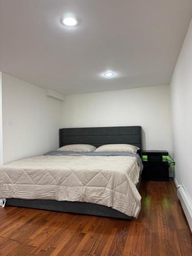 Calm Retreat in Plainview (New York)