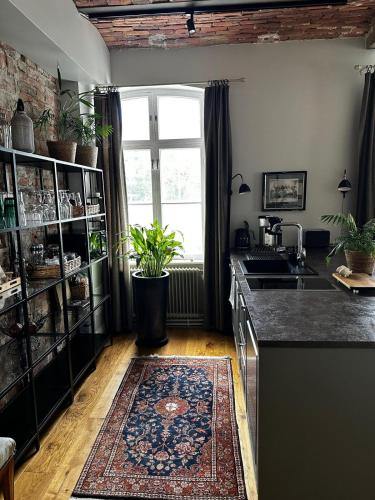 . Luxury Apartment in the center