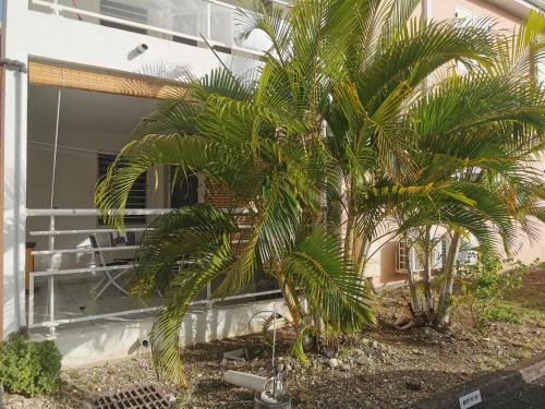 Appartement Personnes à Mobilité Réduite (Appartement Personnes a Mobilite Reduite) in Μπεραρντ