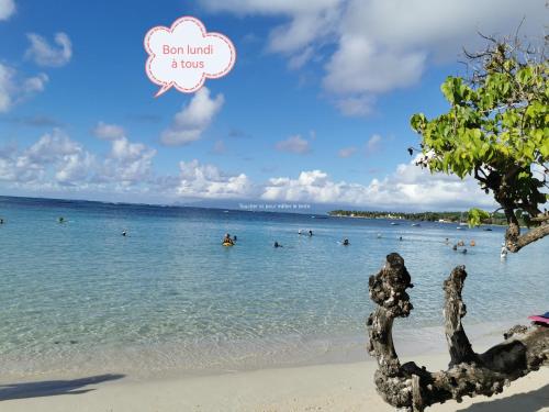 Appartement Personnes à Mobilité Réduite (Appartement Personnes a Mobilite Reduite) in Μπεραρντ