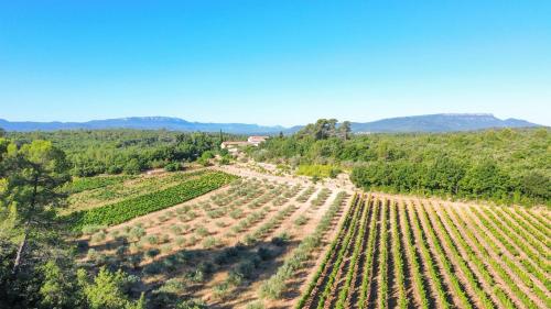 Domaine de Conillières - Chambre d'hôtes - Saint-Maximin-la-Sainte-Baume