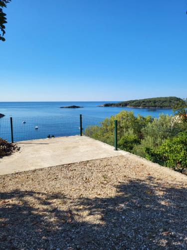 Apartments Miovic