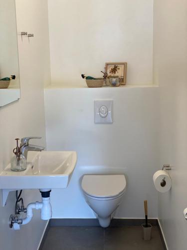 Staarup Hovedgaard in Skive