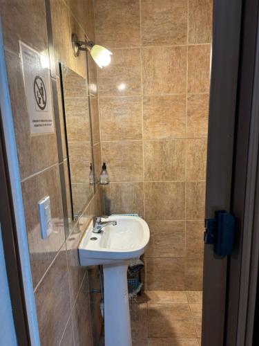 Vannas istaba, RoMa in Vista Flores