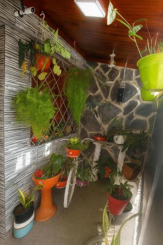 Casa confortable jujuy in Barrio Bajo Gorriti