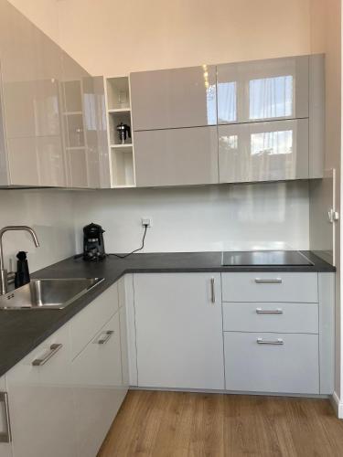 Apartament Rezydencja Worcella by Apartamenty na dni Wrocław, Breslau (Foto 8)