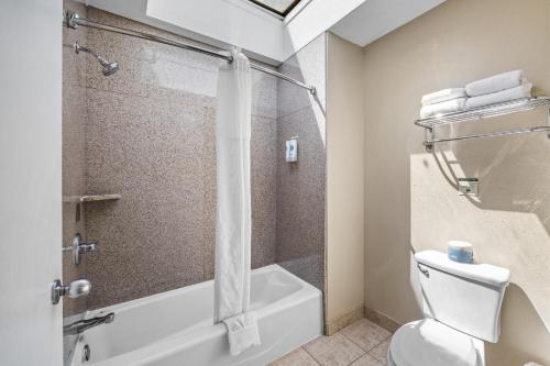 Comfort Inn Santa Cruz - image 13