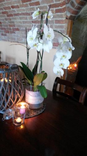 Il Borgo B&B – Castellinaldo, NY