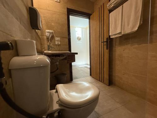 Pyramids Lodge - image 11