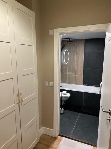 Modern 2 bedroom 2 bathroom Apartment newly renovated, Dublin (fotografie 8)