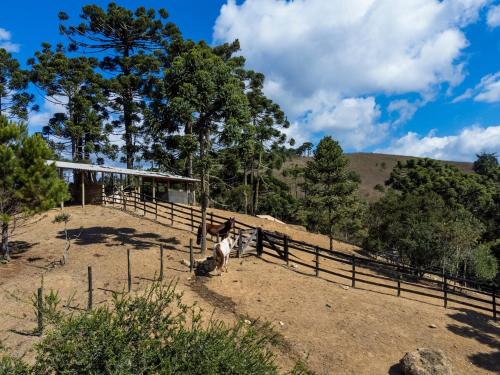Rancho Chapaval Chalet Ponei in Parque Rancho Alegre
