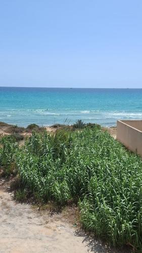 Salim Residence in Salakta