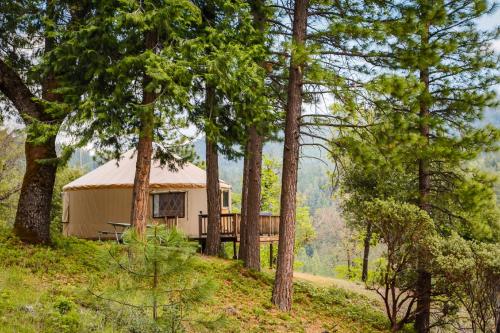 Yosemite Lakes Hillside Yurt 14