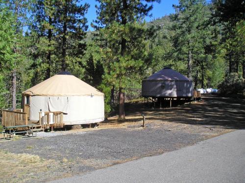 Yosemite Lakes Hillside Yurt 14