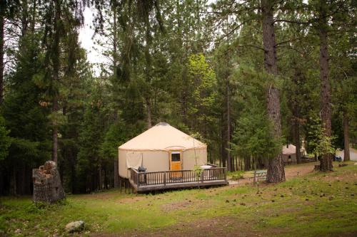 Yosemite Lakes Hillside Yurt 14