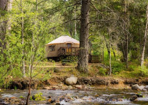 Yosemite Lakes River Yurt 22 detail