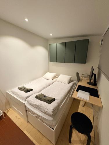 Charming guesthouse with sauna in Helsinki, Helsinki (foto 3)