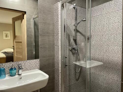 Apartamenty Delecta Room Type - Budget Double Room