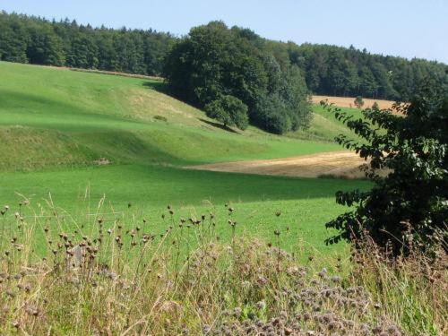 Landgasthof zur Post