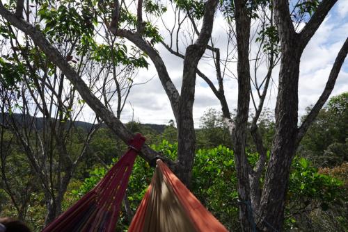 Зовнішній вигляд готелю, GasyClimb in Andasibe