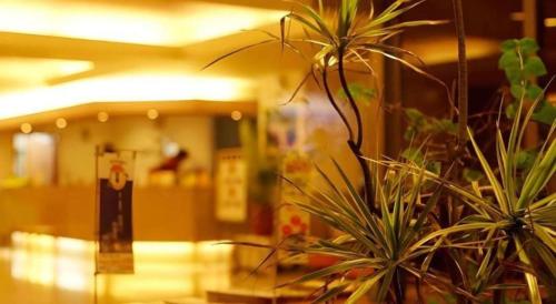 Okinawa Sunplaza Hotel