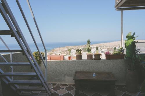 cactus surf experience in Imsouane