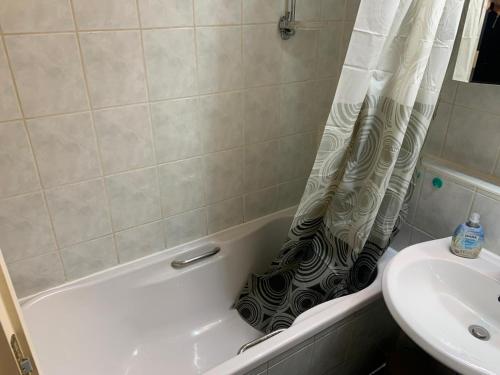 Unterkunft in Schwerin, Ferienwohnung, möbliert f 4 Personen (Unterkunft in Schwerin, Ferienwohnung, mobliert f 4 Personen) in West-stadt