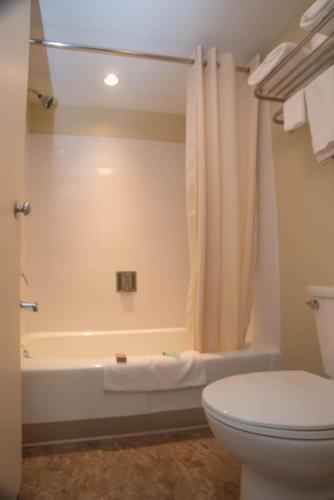 Colonnade Inn - image 6