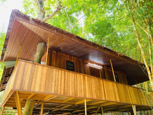 Misty Night Wayanad Pool Resort in فارادور