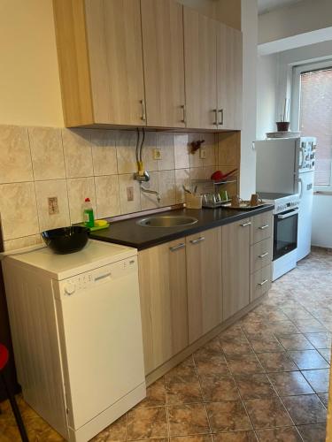 VEZO Apartment, Skopje (photo 6)