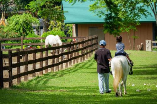 카오야이 บ้านเขากอดโฮมสเตย์ ปากช่อง 3성급 싱글룸 객실