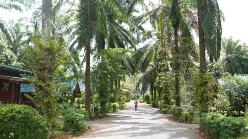 Baan Gamnan Resort - Ao Luek near Krabi Elephant Sanctuary