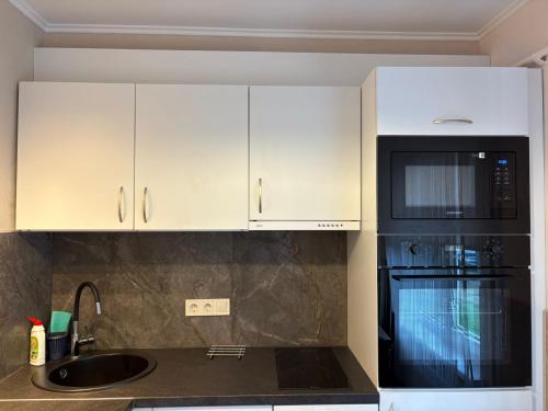 Cat Garden Classic Apartments Riga, Riga (foto 4)