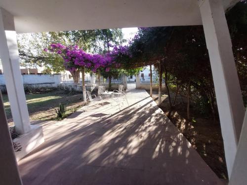 Cold Fence in Φρίας