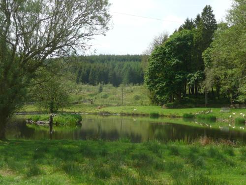 ทัศนียภาพภายนอกโรงแรม, Uk35715 - South Cottage in เซลคริก