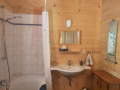 Chalet La Frassonayaz in 瓦勒迪利耶
