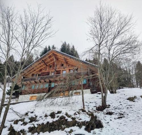 Chalet La Frassonayaz in 瓦勒迪利耶