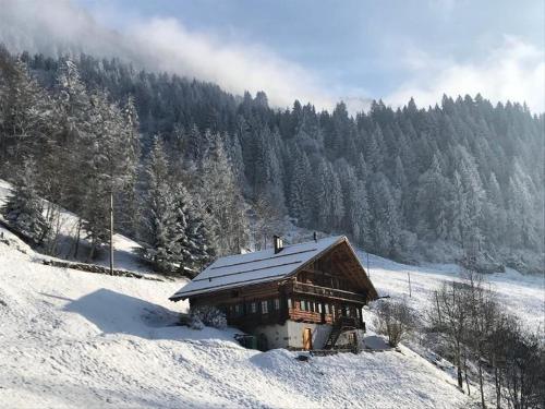 Chalet La Frassonayaz in 瓦勒迪利耶