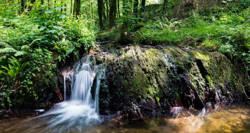 Warrensgrove Estate Self Catering Accommodation in Macroom