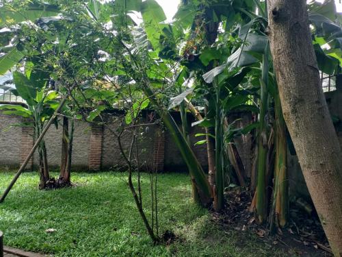 Arusha Garden Home - Antique Villa - image 5