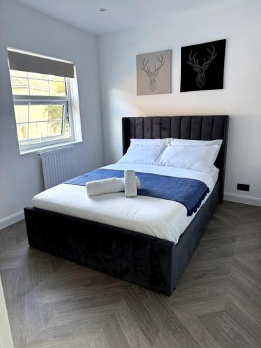 Cosy Central Colchester Home by Castle Park