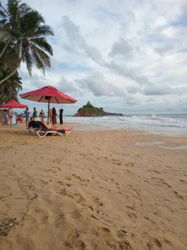 Rosy guest house. - image 2