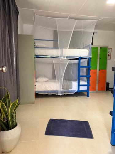 1 bunk bed