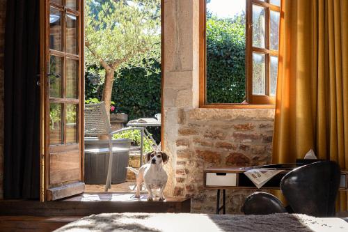 Contact Hotels Le Savigny & Spa in Gleize (Rhone-Alpes)