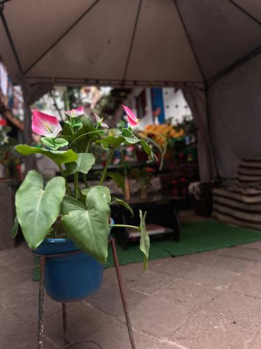 Hostal sambleño cusco Piero suite – Cuzco