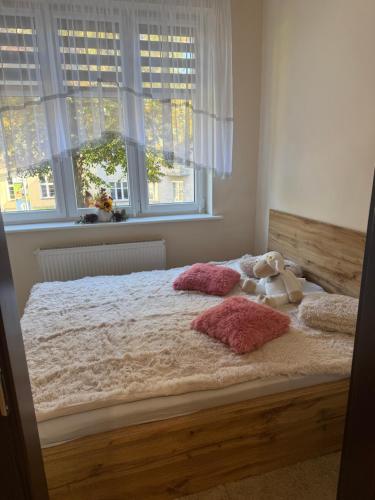 Apartament Marka