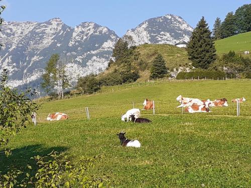 Klettnerlehen in Ramsau bei Berchtesgaden, Deutschland