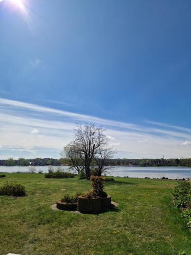 Jardin, Ferienwohnung Binnenseeglück (Ferienwohnung Binnenseegluck) in Heiligenhafen