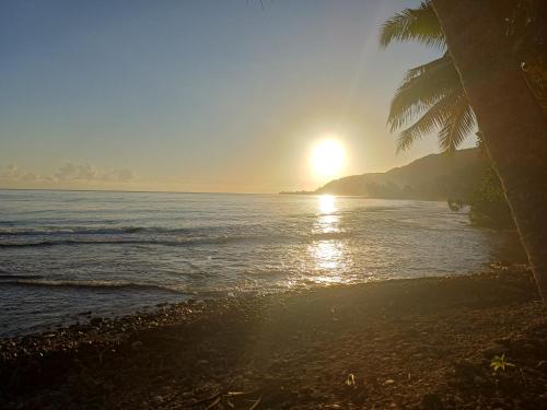 Omgivelser, Hitira lodge presqu'île (Hitira lodge presqu'ile) in Mitirapa