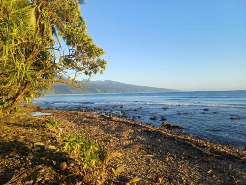 Omgivelser, Hitira lodge presqu'île (Hitira lodge presqu'ile) in Mitirapa